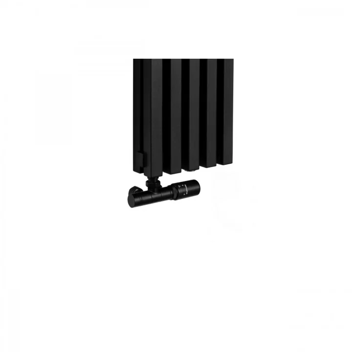 Grzejnik dekoracyjny pionowy EXTREME 1600x240 czarny z zaworem SPV